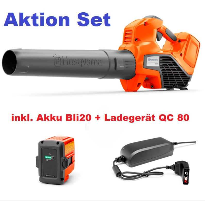 Akku-Laubbläser 122iB Set