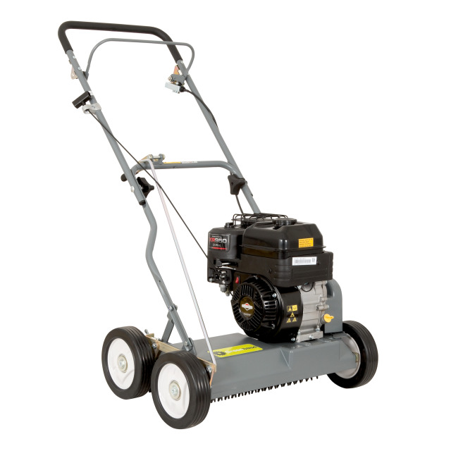 articleImage-imageName-31998fbSgRJuDuNHmW