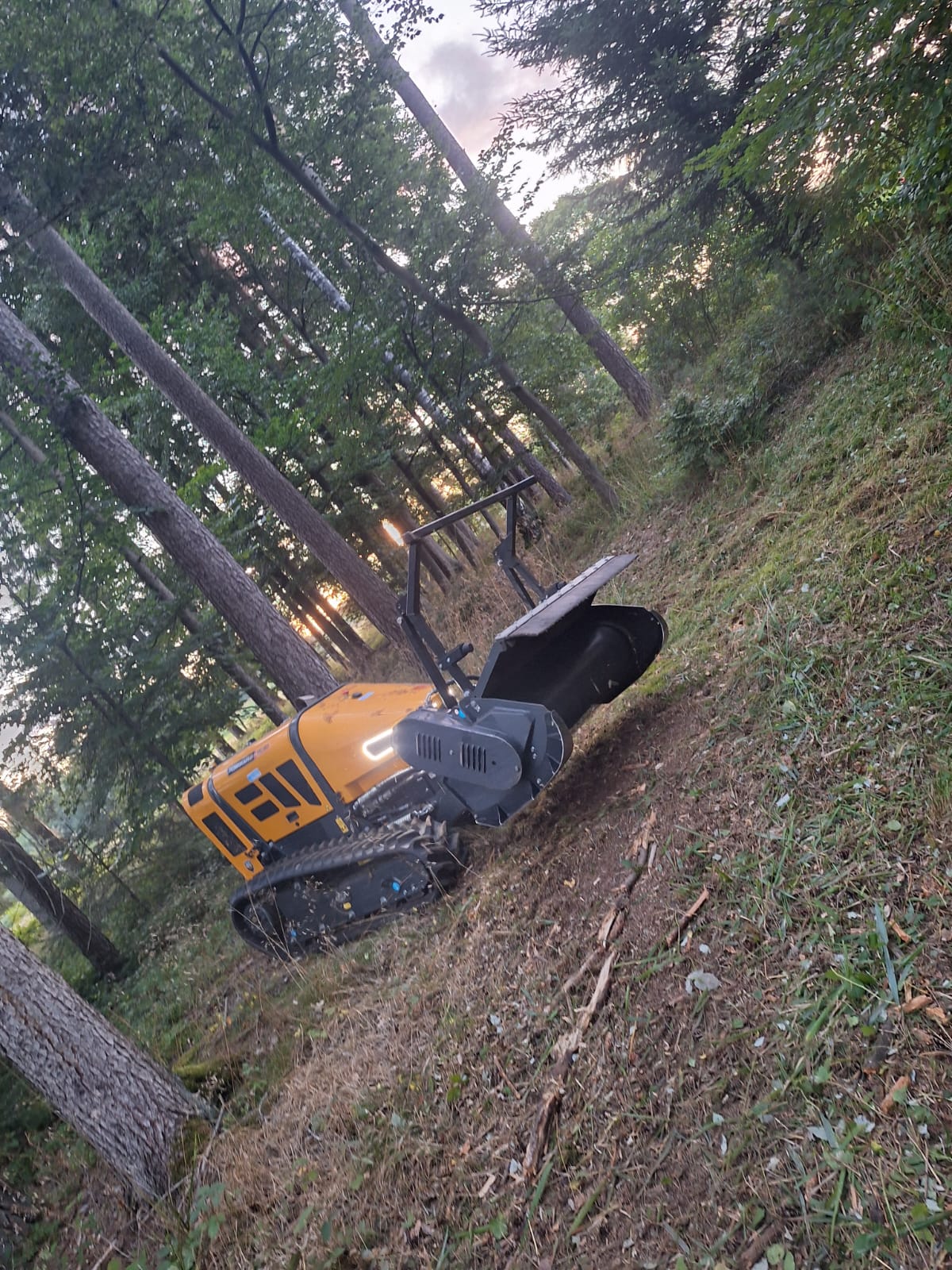 RoboCut RC 40 mit Gras- und Forstmulchkopf